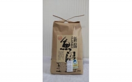 新潟県認証特別栽培米魚沼産しおざわコシヒカリ玄米10kg