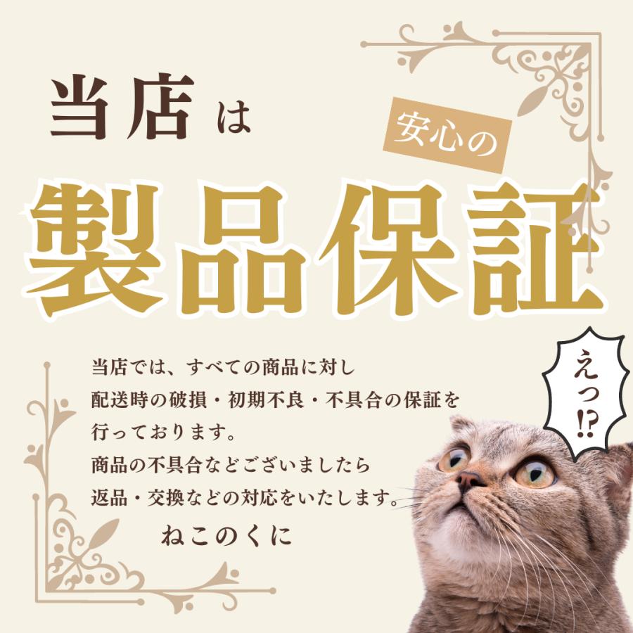 クリップ 猫 ディークリップス ミニボックス 伸びネコ 可愛い ギフト プレゼント