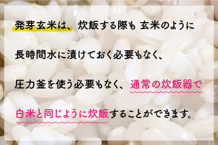 無農薬コシヒカリ「特選」 特別栽培米使用 2kg [A-2919]