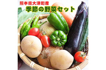 熊本県大津町産 季節の野菜セット(6～8種類)《60日以内に順次出荷(土日祝除く)》野菜 冷蔵 JA菊池 大津中央支所 とれたて市場