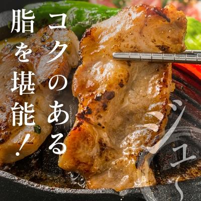 ふるさと納税 宮崎県 ◆宮崎ブランドポーク　バラ焼肉用(合計1.5kg)