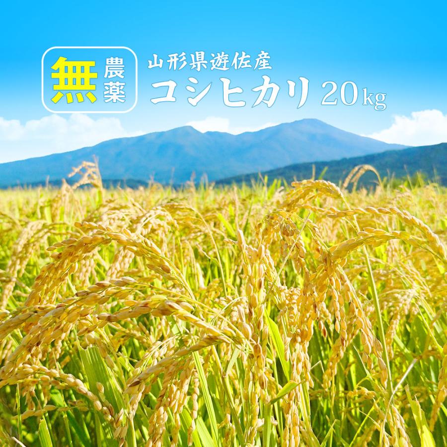 新米 令和5年産 無農薬 コシヒカリ 20kg (5kg×4袋) 山形県庄内産 特別栽培米(化学肥料不使用・農薬不使用) お米 (玄米・白米・無洗米)精米方法選べます