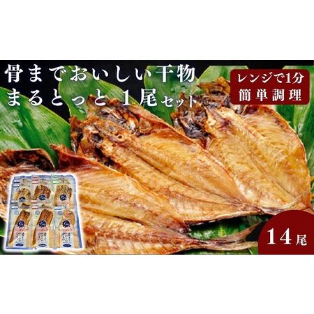 ふるさと納税 骨までおいしい干物「まるとっと」1尾セット 愛媛県東温市