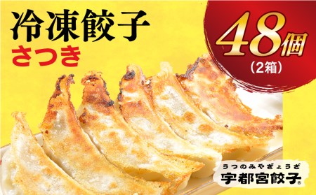 　餃子24個入り×2箱