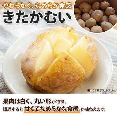 ふるさと納税 倶知安町 北海道倶知安町産 じゃがいも「きたかむい」Lサイズ 10kg 馬鈴薯 産地直送