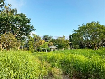 新化6分農地尋一方心之所向｜台南市新化區頂山腳