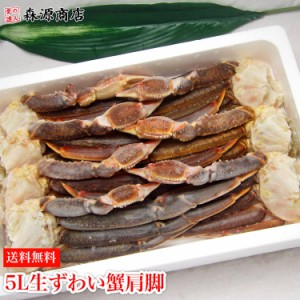 特大5L 生ずわい蟹 3kg 大きいズワイガニの足 肩脚 (セクション) 化粧箱入り かに 蟹 カニ 送料無料 プレゼント 食品 グルメ 海鮮