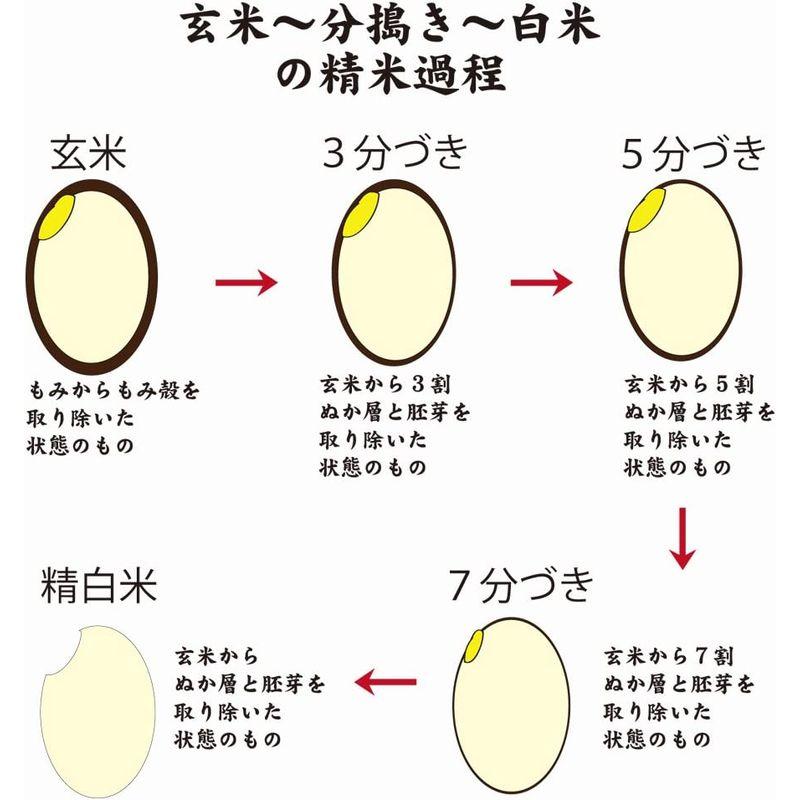 精米新潟県上越市産 黒川義治さんのお米 白米 コシヒカリ 5kg