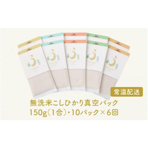 ふるさと納税 福井県 小浜市 『FuKuRa』無洗米真空パックこしひかり1合・10パック