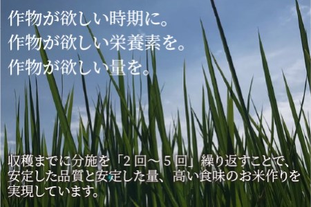 福井県産 コシヒカリ 10kg ～化学肥料にたよらない有機肥料100%～ ネオニコフリー（玄米）[A-13405_02]