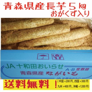 青森県産　長芋　　５ｋｇ　洗浄済み　おがくず入り　送料無料！