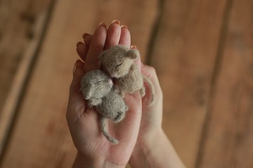 小老鼠玩具嬰兒淋浴禮物，新生兒照片道具套裝，嬰兒玩具動物