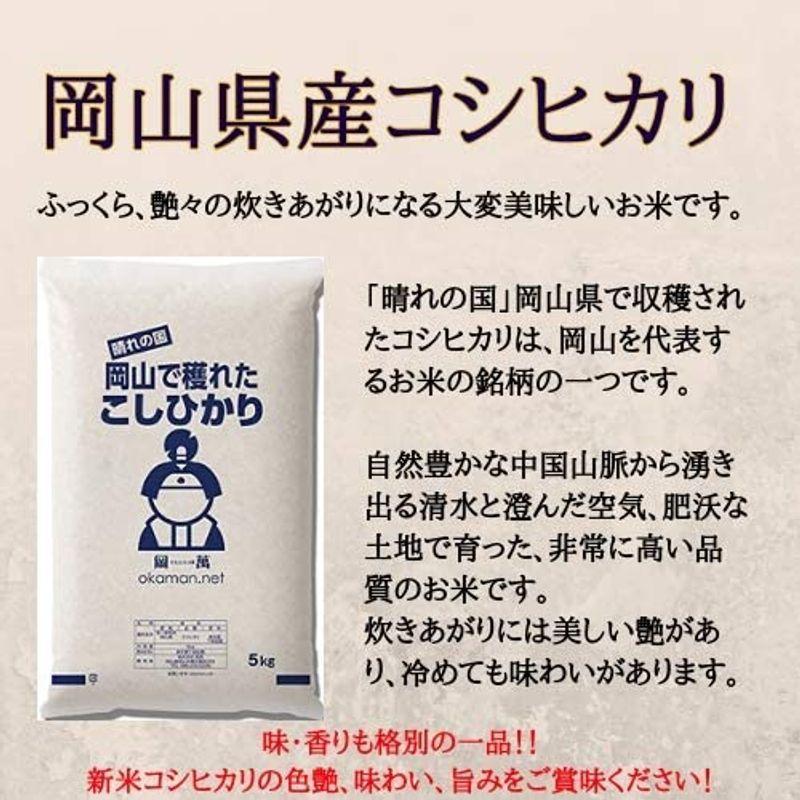 米 お米 10kg コシヒカリ 岡山県産 (5kg×2袋) 令和3年産