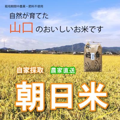 ふるさと納税 防府市 栽培期間中農薬・肥料不使用で作った朝日米　玄米10kg