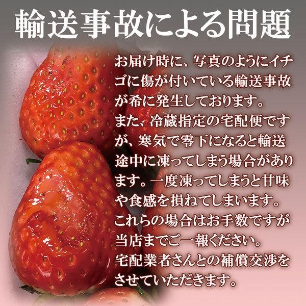 いちご イチゴ とちあいか プレミアム ギフト 甘い 大粒 約280g×2Pac 送料無料 栃木県産 お取り寄せ グルメ 誕生日 農家 直送 プレゼント 贈答 フルーツ 果物