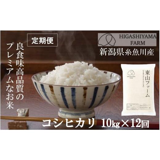 ふるさと納税 新潟県 糸魚川市 新米プロも太鼓判！「旨いコシヒカリ」10kg×12回 新潟県糸魚川産 令和5年産