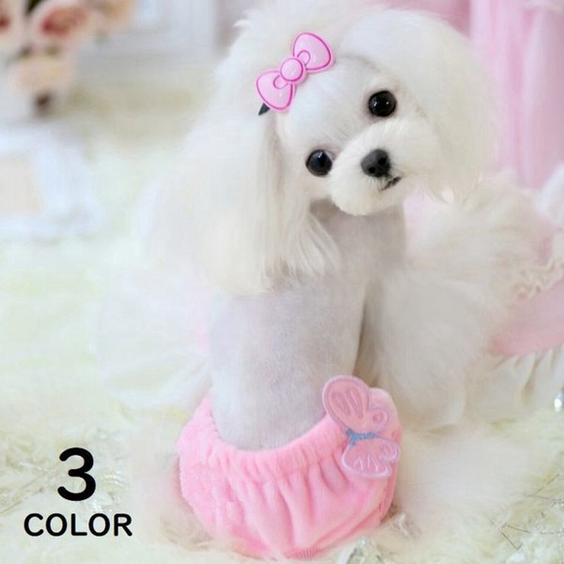 犬用サニタリーパンツ 犬用 マナーパンツ 生理用品 マナーウェア 犬服 ドッグウェア 尿漏れ 介護用品 介護 オシッコ対策 ズレ防止 ずれない マナー 通販 Lineポイント最大0 5 Get Lineショッピング