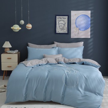 候鳥旅行 兩用被 床包組 天絲 小王子 旅行 床組