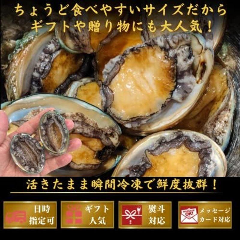 お刺身 蝦夷あわび アワビ 1kｇ（約30個入）あわび 海鮮 BBQ