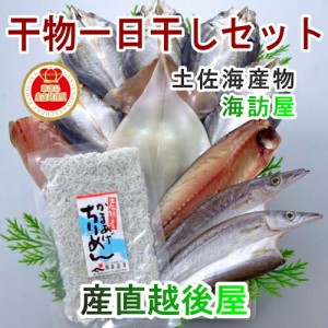 父の日 高知県高知市場 土佐海産物 海訪屋 厳選１日干セット 冷凍便でお届け