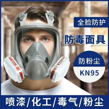 🚀防毒面具噴漆防甲醛專用全臉防護頭罩全頭放毒氧氣防塵口罩