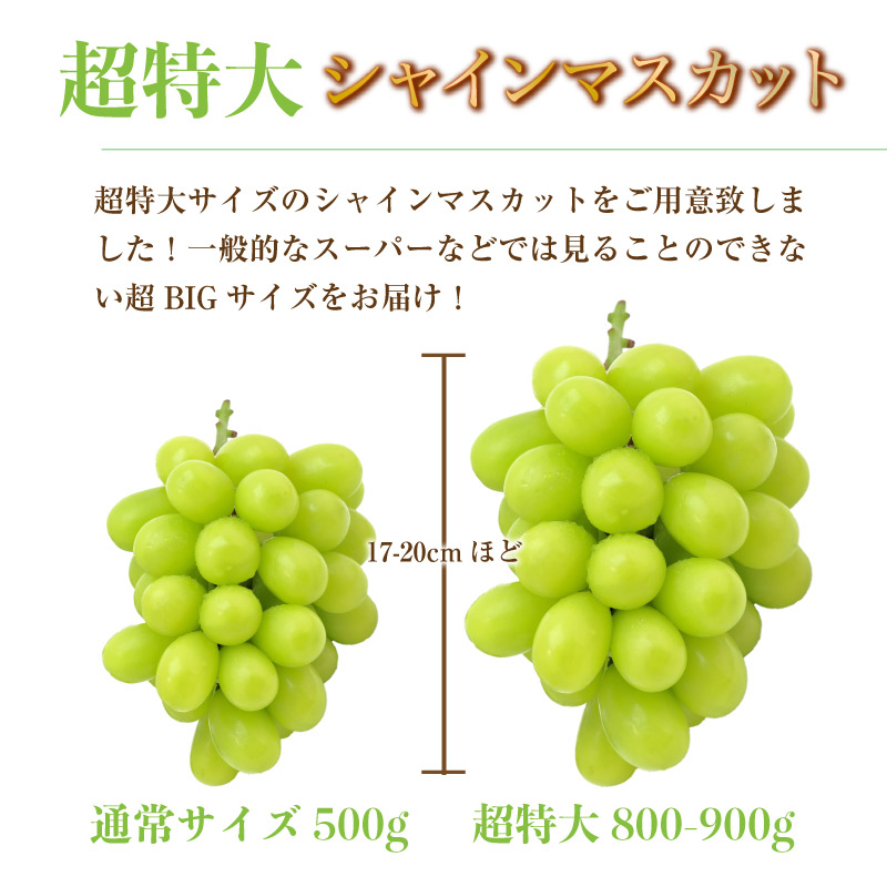   超特大 シャインマスカット 約3.2kg 約800g x 4房 山梨県産 ぶどう ギフト 通販 果実箱 お中元 御中元 夏ギフト お中元 御中元