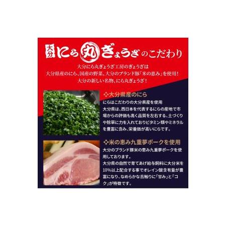 ふるさと納税 A02016　大分新名物　にら丸・えび丸餃子セット 大分県大分市