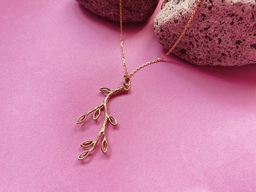 橄欖枝 Olive branch