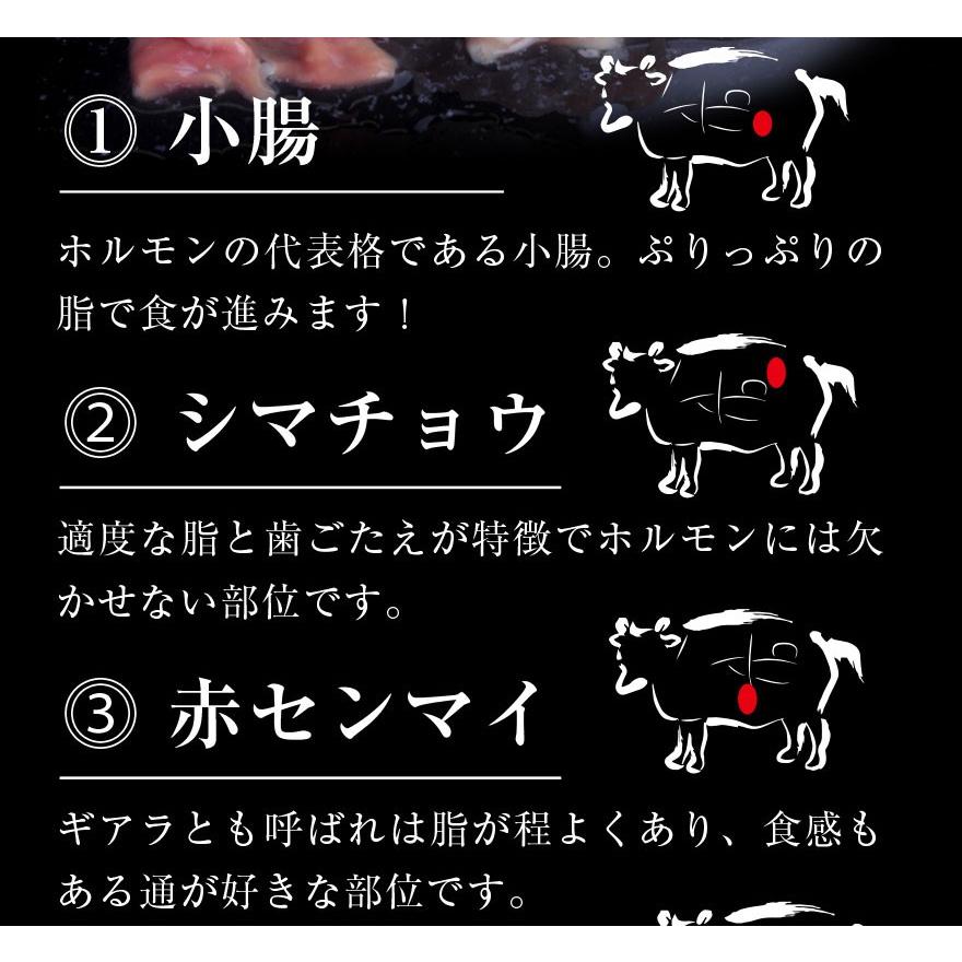 老舗 博多屋 もつ鍋 五種の部位が入った 和牛モツ鍋 2~3人前セット 伝統の味 醤油ベース 愛媛 松山 和牛 小腸 アカセン センマイ 心臓 シマチョウ mk41