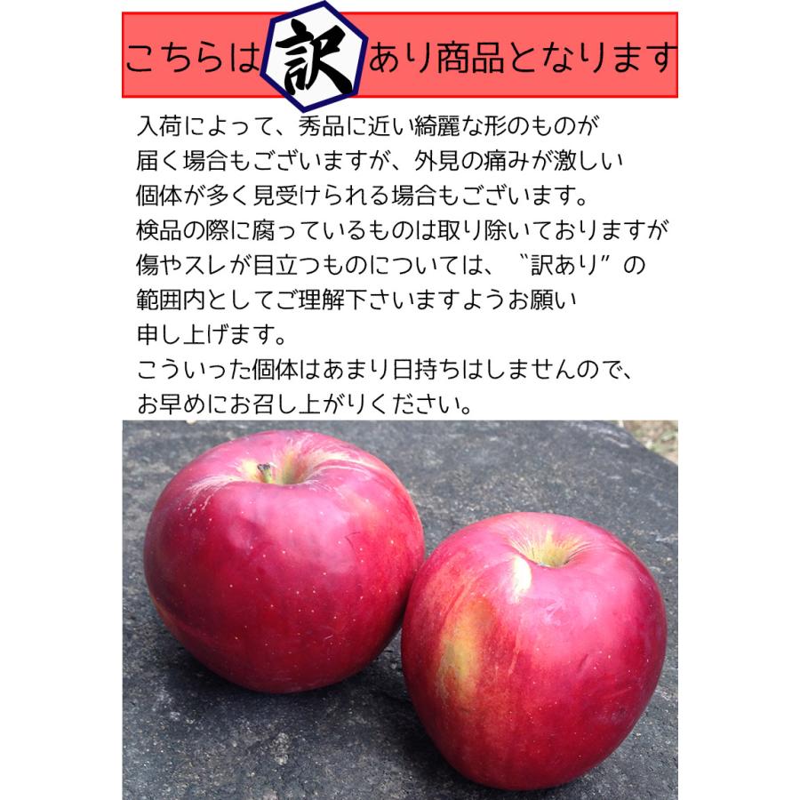 りんご 訳あり 10kg箱 青森県産 紅玉りんご 9Kg以上 訳あり 常温便は送料無料