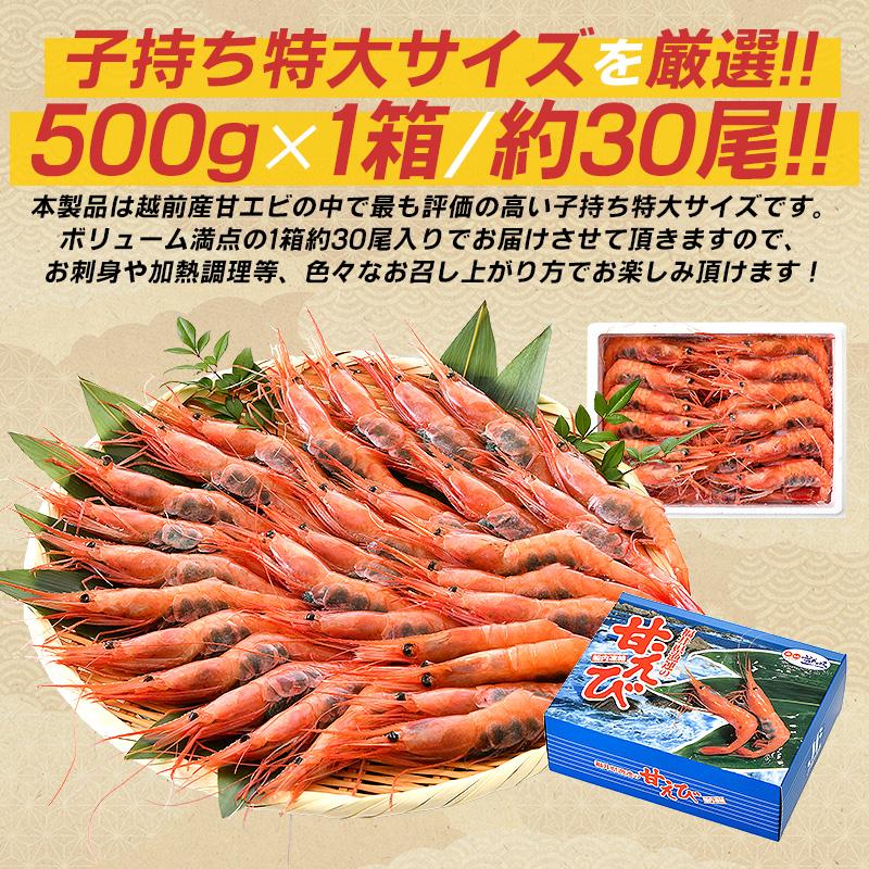 甘エビ 甘えび 特大 子持ち 刺身 500g 約30尾 冷凍 越前甘エビ 福井県 お歳暮 ギフト