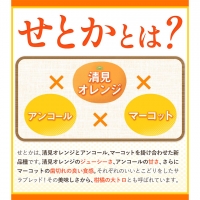 一度は食べていただきたい! 有田産のせとか 青秀以上 約4～5kg （サイズおまかせ） 厳選館 《2024年2月下旬-4月上旬頃より順次出荷》 和歌山県 日高川町 せとか 柑橘 有田産