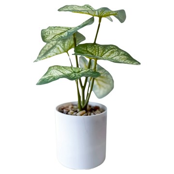 室內桌上型白天使海芋仿真綠植  1個  綠色