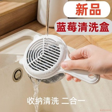 桃園出貨✨日式番茄洗藍莓神器車釐子瀝水籃野餐水果清洗盒可微波食物收納盒