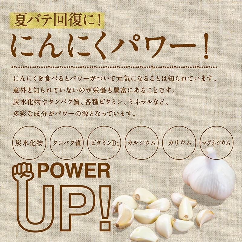 にんにく 70g 有機 オーガニック 有機JAS認定 ガーリック ニンニク 香味野菜 国産 宮崎産