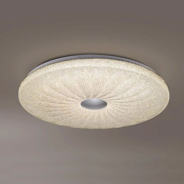 48W 單色吸頂燈 L01-2302B