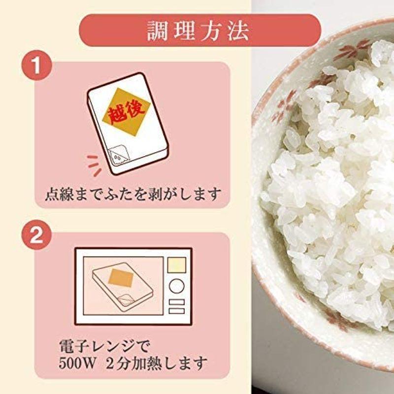 20越後ごはん (150g×20個) たんぱく質0.19g たんぱく質調整 低たんぱく レトルト パックごはん