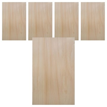 woodmall 木百貨 椴木合板 300 x 200 x 1.8mm  5個