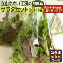 立山やさい工房のサラダセット（60g×6袋）の定期便年6回コース