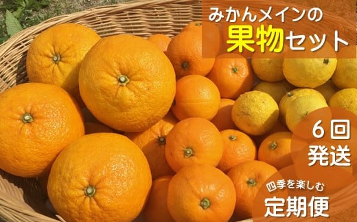 湯の花　みかんメインで贈るフルーツ６回の定期便