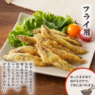 ふるさと納税 鹿児島市 きびなご一夜干し、フライ用詰合せ 1kg　K100-001