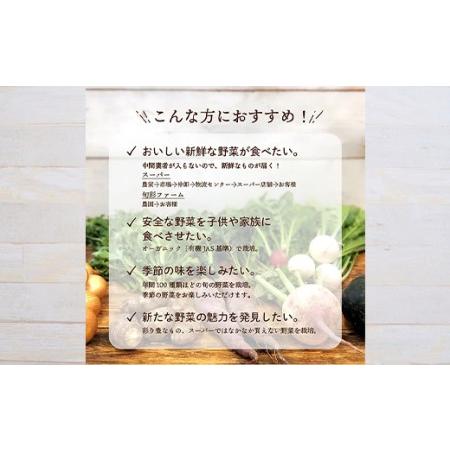 ふるさと納税 《有機JAS認証》オーガニック 季節のお野菜セット（大）定期便 3ヶ月連続 F21R-864 福島県白河市