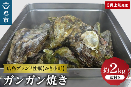 丸十水産 広島ブランド牡蠣 かき小町 ガンガン焼き 約2kg (10～14個)