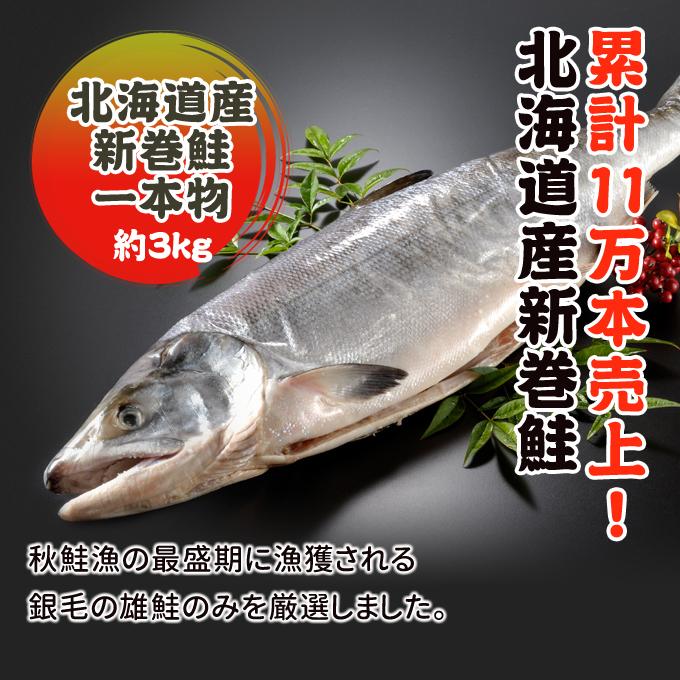 2023年新物！北海道産 新巻鮭一本物 約3.0kg 送料無料 ギフト 新巻き鮭