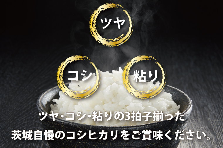  令和5年産 新米 無洗米 茨城 コシヒカリ 10kg (5kg×2袋) ×3カ月 米 お米 おこめ 白米 ライス ご飯 精米 こしひかり 国産 茨城県産 定期便