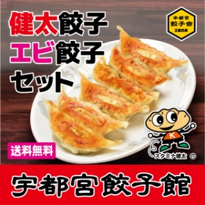 宇都宮餃子会正組合員　宇都宮餃子館　健太・エビ餃子セット　健太餃子×3パック　エビ8個×2パック　計40個／餃子フェス