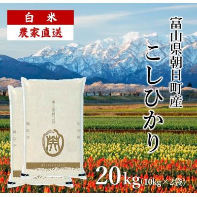 ふるさと納税 朝日町 令和5年度産　富山県朝日町産コシヒカリ 20kg(精米10kg×2)