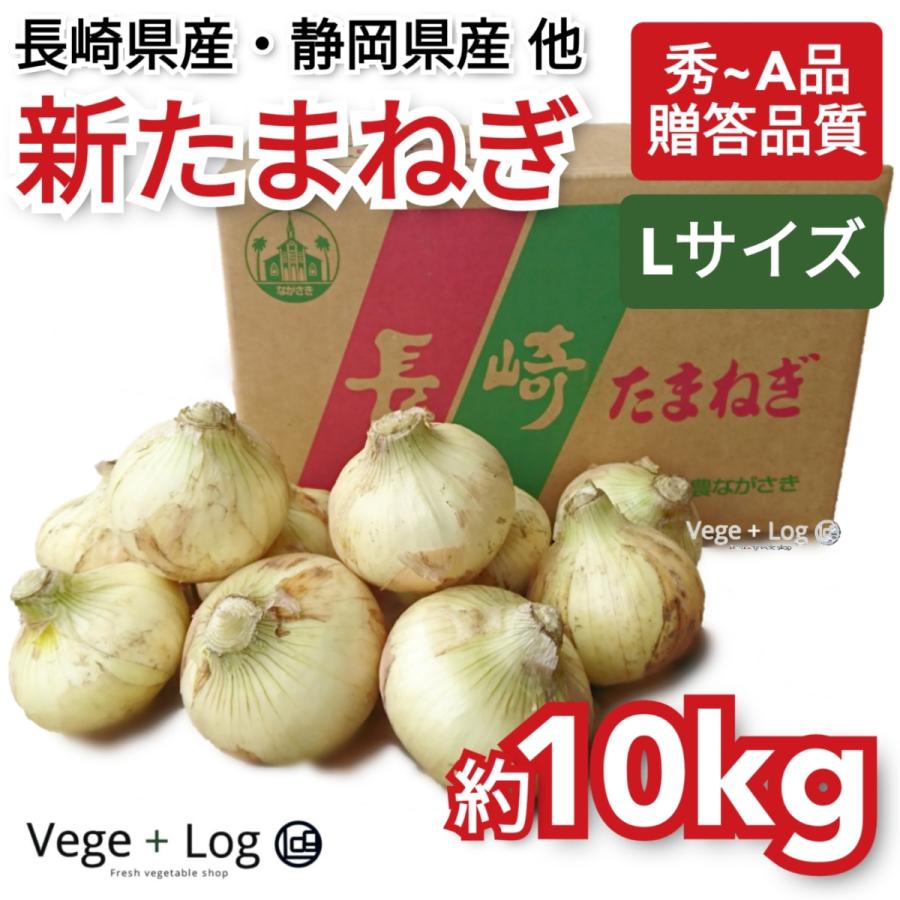 長崎県産・静岡県産 他 新たまねぎ 秀~A品 Lサイズ 約10kg ギフト用 贈答品質 国産 新玉葱 本州送料無料