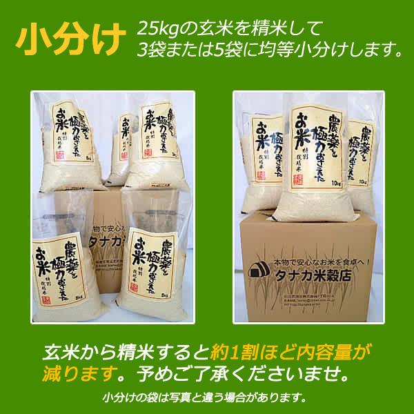 新米 宮城県産 令和5年産 減農薬特別栽培米 ひとめぼれ 玄米 25kg