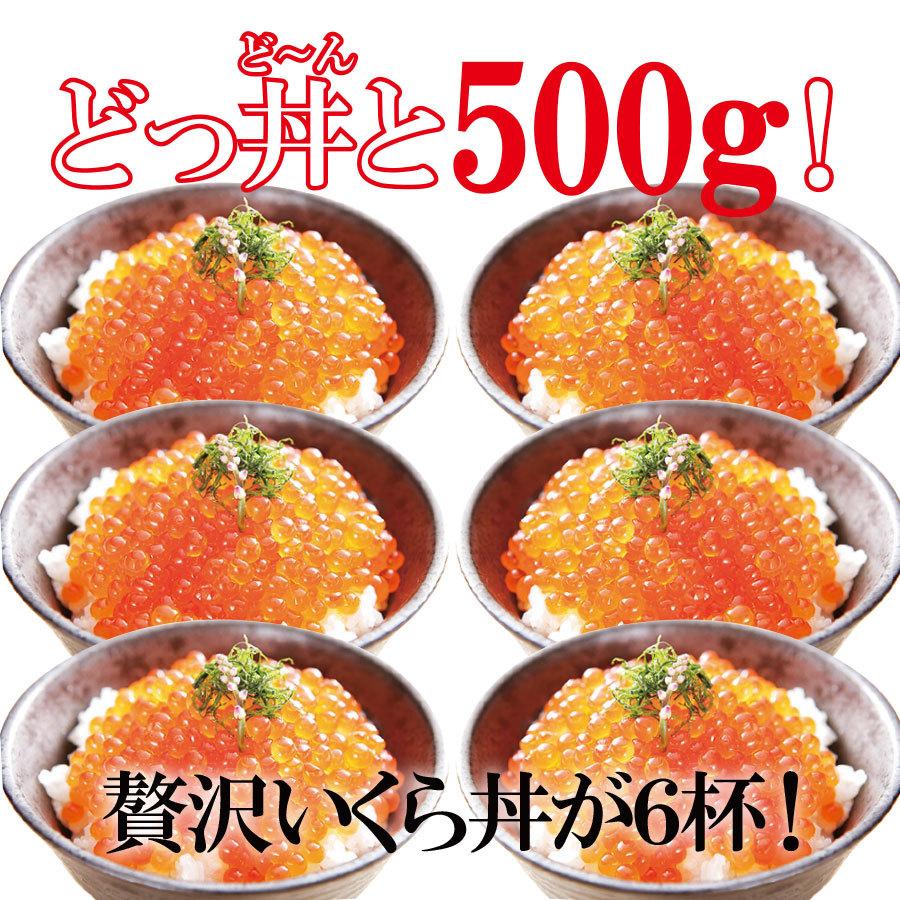 いくら　醤油漬け　500g　ますこ　味付け　冷凍　鱒　魚卵